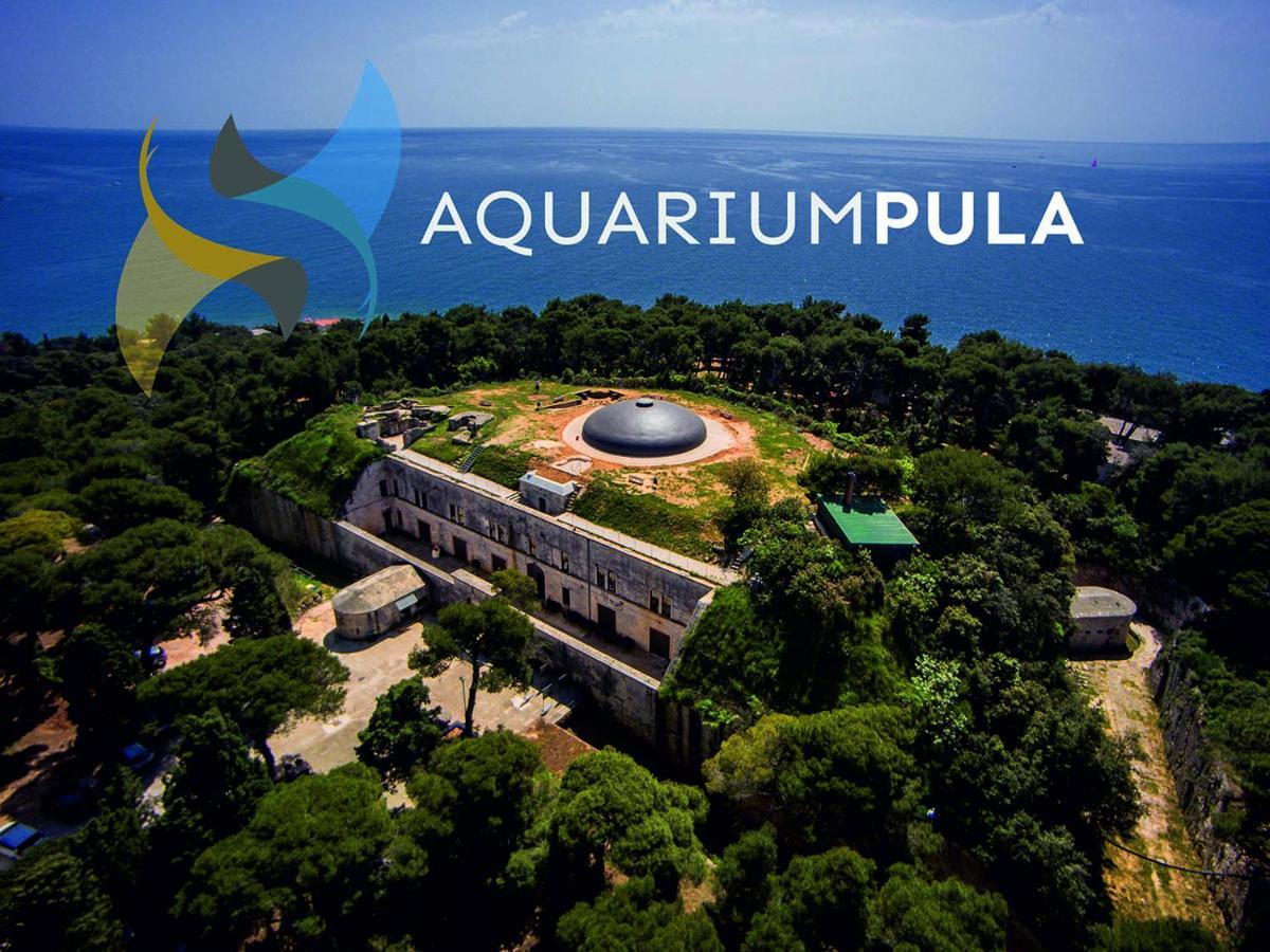 Arena Sunset, Sea Coloseum View, 2 Rooms Free Parking Пула Екстер'єр фото
